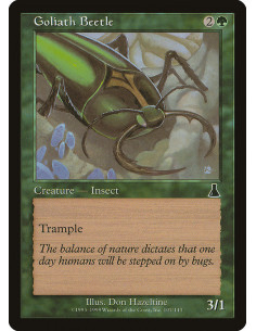 Goliath Beetle - Foil