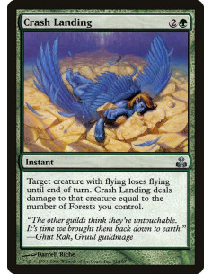 Crash Landing - Foil