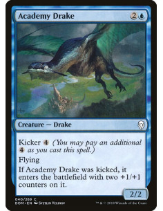 Academy Drake