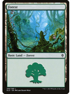 Forest - Foil