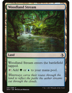 Woodland Stream