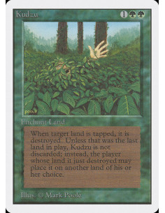 Kudzu