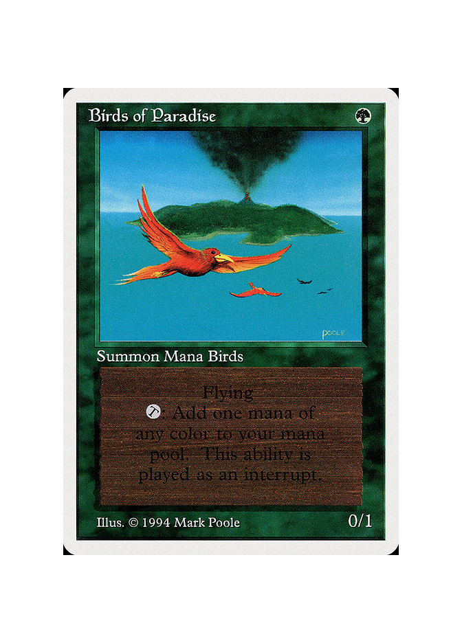 Birds of Paradise
