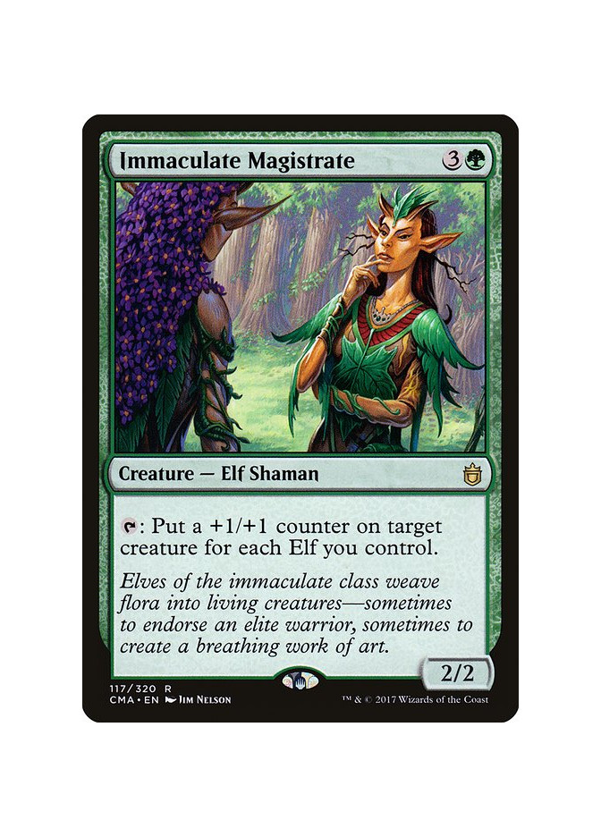Immaculate Magistrate