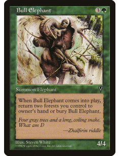 Bull Elephant