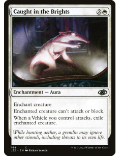 Caught in the Brights