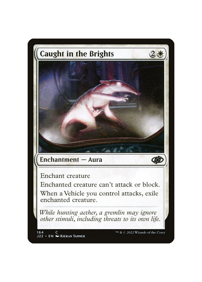 Caught in the Brights