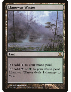Llanowar Wastes - Foil