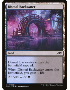 Dismal Backwater - Foil