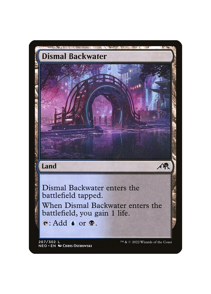 Dismal Backwater - Foil