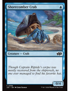 Shorecomber Crab