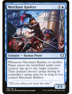 Merchant Raiders