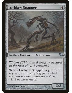 Lockjaw Snapper - Foil