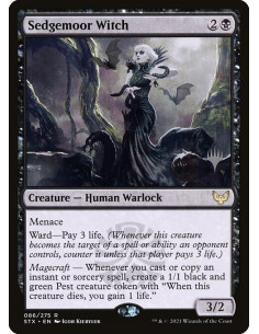 Sedgemoor Witch - Foil