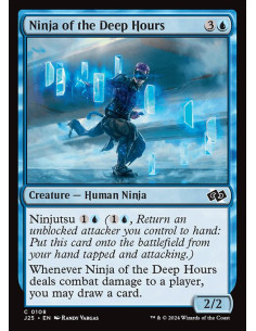 Ninja of the Deep Hours