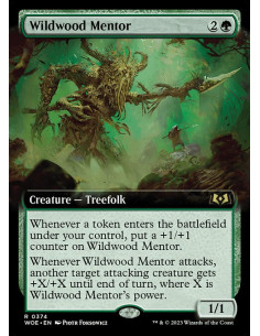 Wildwood Mentor