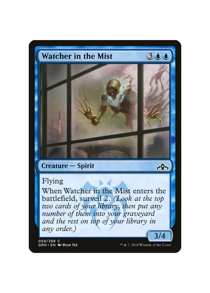 Watcher in the Mist