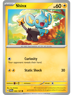 Shinx