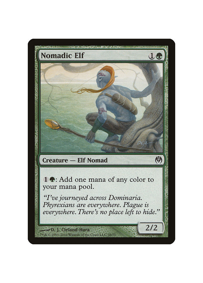 Nomadic Elf