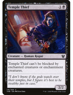 Temple Thief