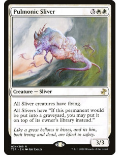 Pulmonic Sliver - Foil
