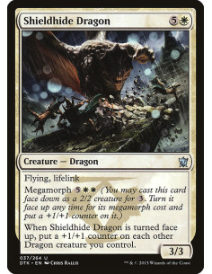 Shieldhide Dragon