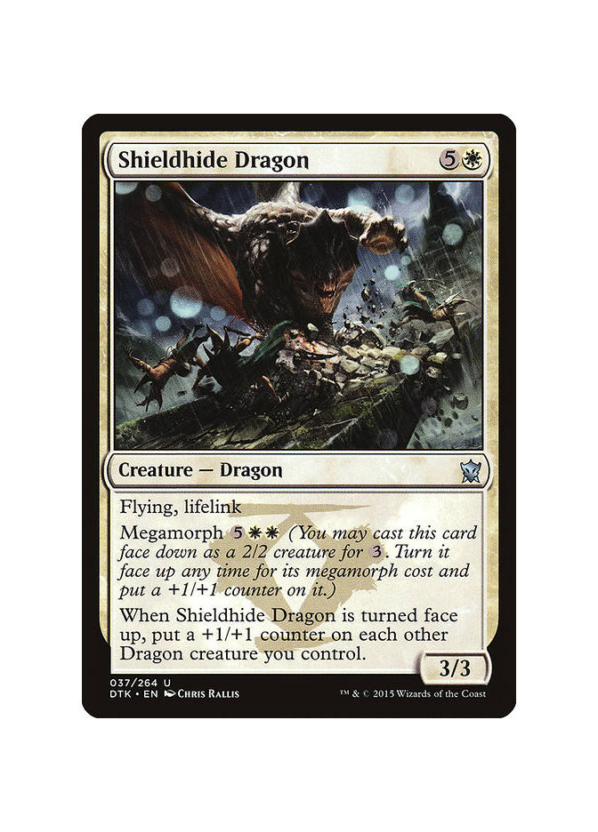 Shieldhide Dragon - Foil