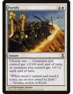 Fortify - Foil