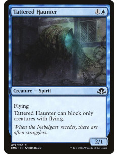 Tattered Haunter