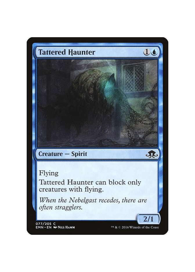 Tattered Haunter - Foil