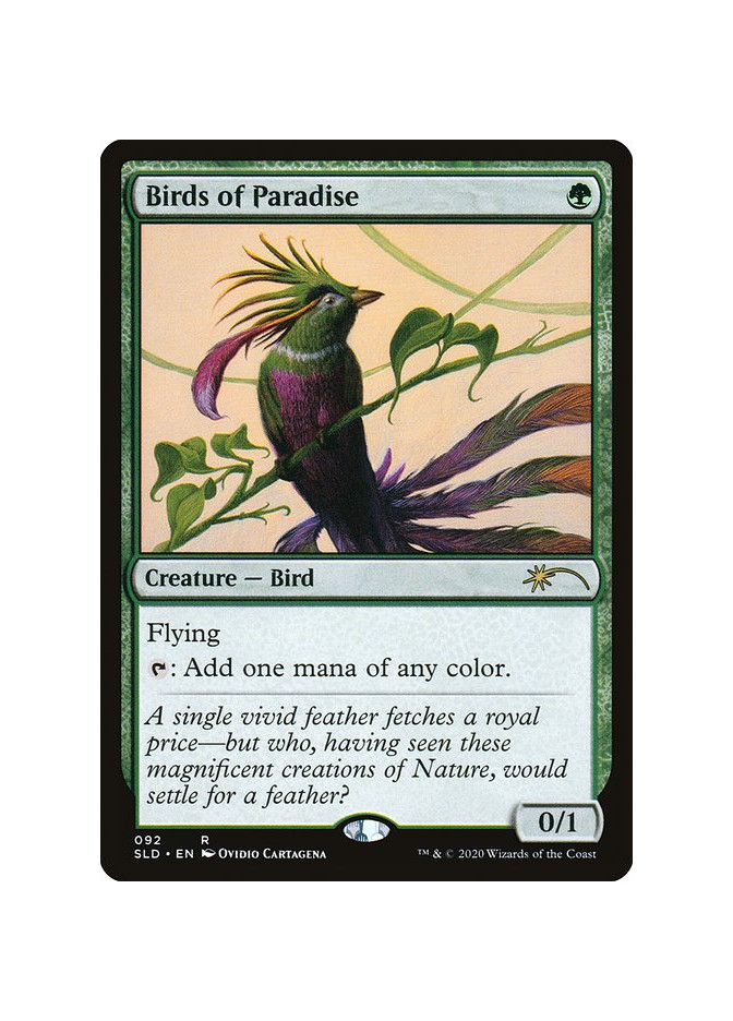 Birds of Paradise