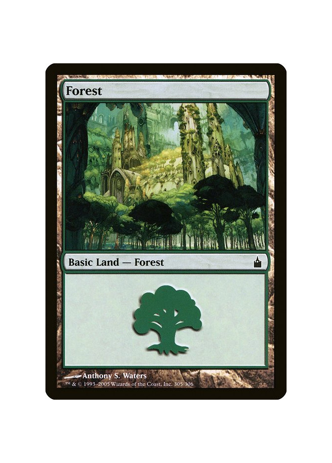 Forest - Foil