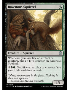 Ravenous Squirrel