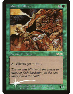 Muscle Sliver - Foil