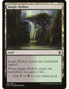Jungle Hollow