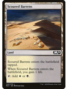 Scoured Barrens - Foil