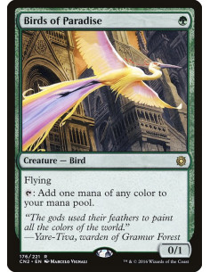 Birds of Paradise - Foil