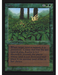 Kudzu