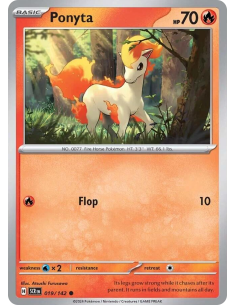 Ponyta