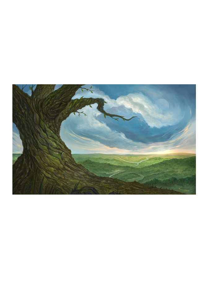 KRAKEN WARGAMES: Playmat - FOREST