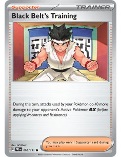 Black Belt's Training