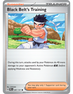 Black Belt's Training