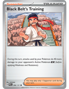 Black Belt's Training