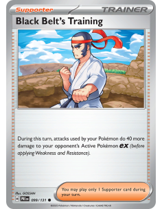 Black Belt's Training