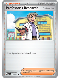 Professor's Research