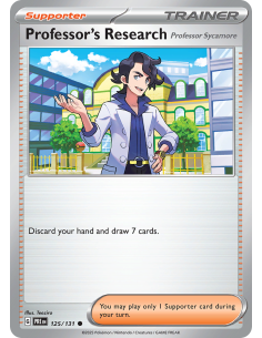 Professor's Research