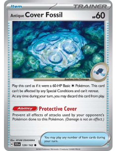 Antique Cover Fossil