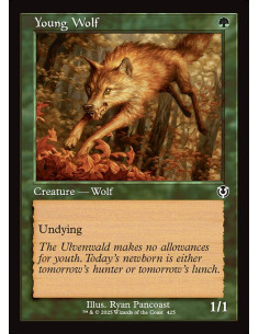 Young Wolf - Foil