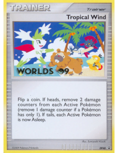 Tropical Wind