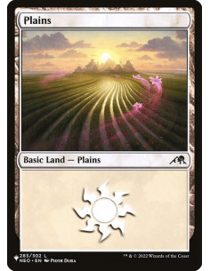 Plains